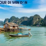 Tour Đi Vân Đồn: Hướng Dẫn Và Gợi Ý Chi Tiết